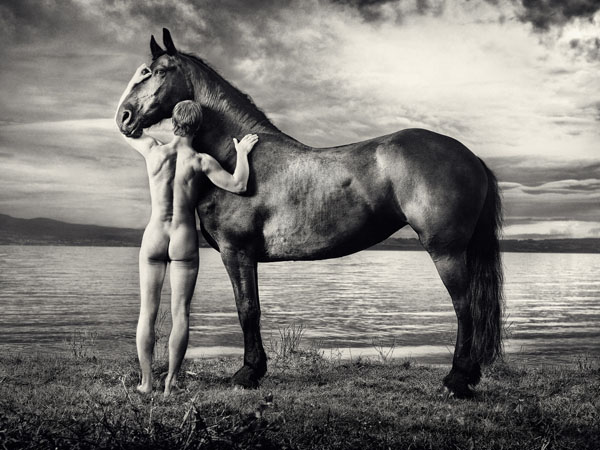 Photograph Jens Edgar Haugen Equus Et Natura I on One Eyeland
